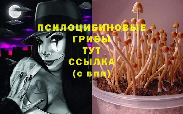 марки lsd Богданович