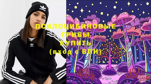 МДМА Богородицк