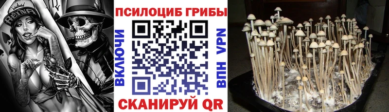 Псилоцибиновые грибы мухоморы KRAKEN как войти Артём